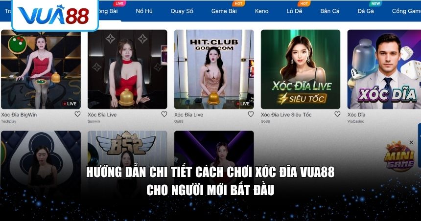 Hướng dẫn chi tiết giúp bạn chinh phục xóc đĩa VUA88 chỉ trong vài phút